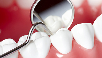 Servicios Dentic´s